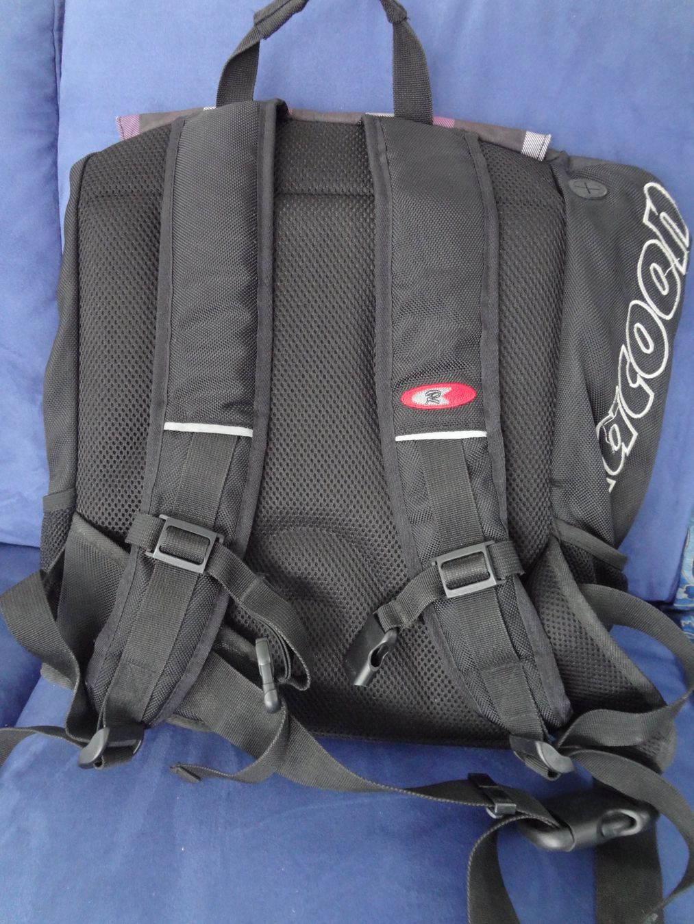 Racoon Borse & Zaini: Racoon Schulrucksack Fun Viola – Usato da Zürich venduto da Bluedani 1
