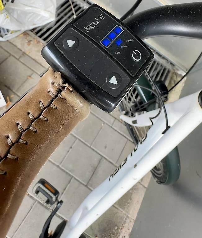 Vélos: Elektro Velo Raleigh – D'occasion à Muttenz par anna123 3