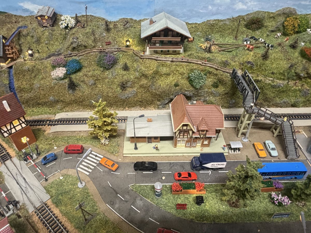 Trix Modellini di ferrovie: Perfekte Anlage Spur N – Usato da Wil SG venduto da steinlin07 1