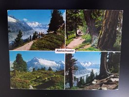 Aletschwald Postkarte, Gruss aus Wallis, 1983, Rarität