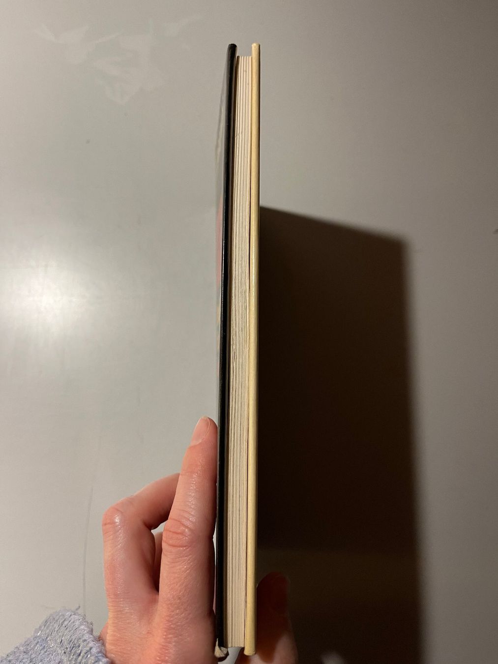 Libri: S. Sekiguchi: Was ist ZEN? – Usato da glattfelden venduto da kimiaxel 2