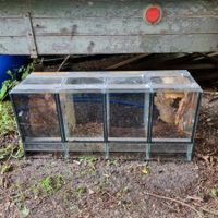 Terrarium Glas 4 Kammern gebrauchter Zustand