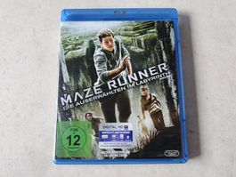 Maze Runner  -  Die auserwählten im Labyrinth  /  Bluray