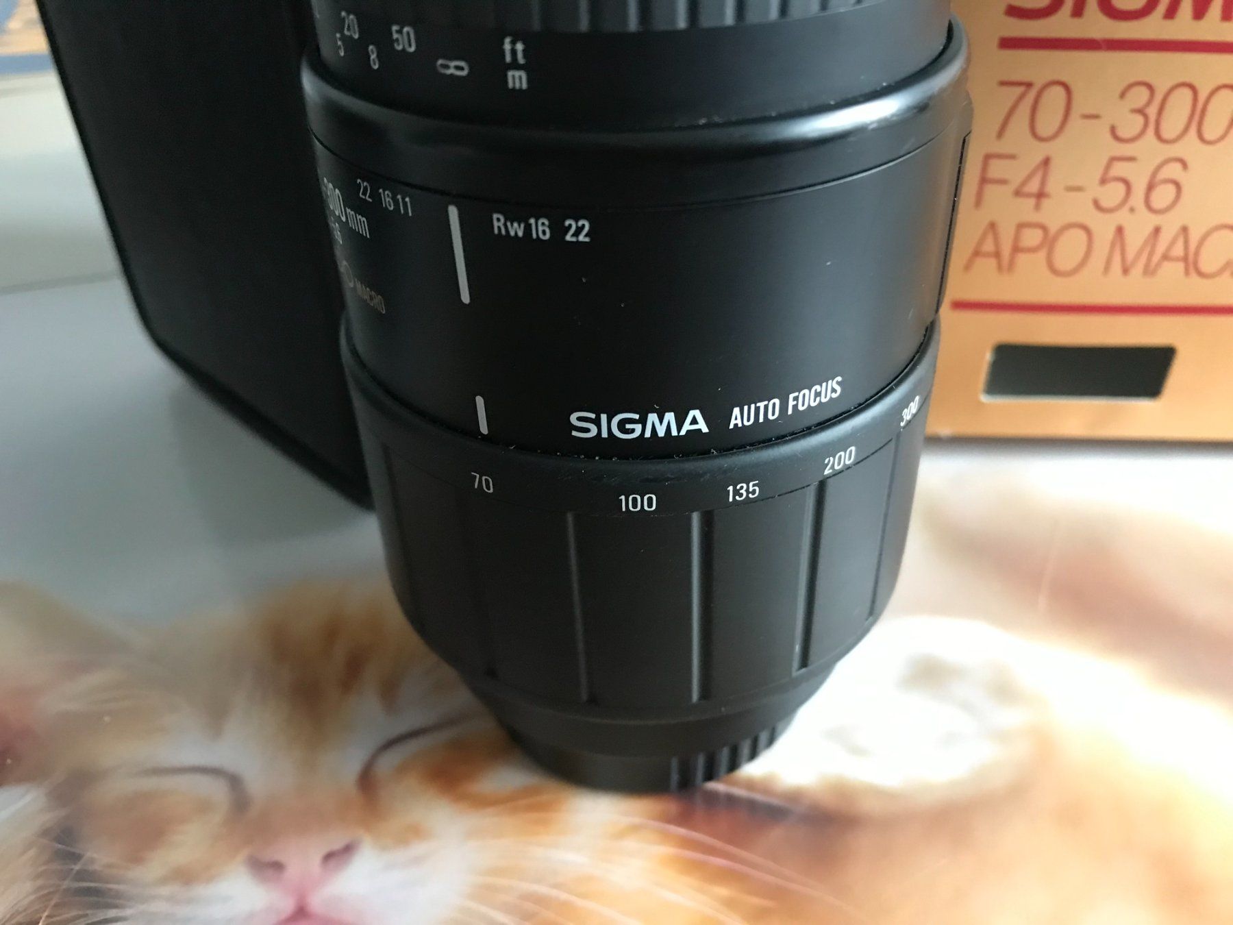 Sigma Objektive: SIGMA Teleobjektiv 70x300 – Gebraucht aus Kleindöttingen von Schlangelilly 3