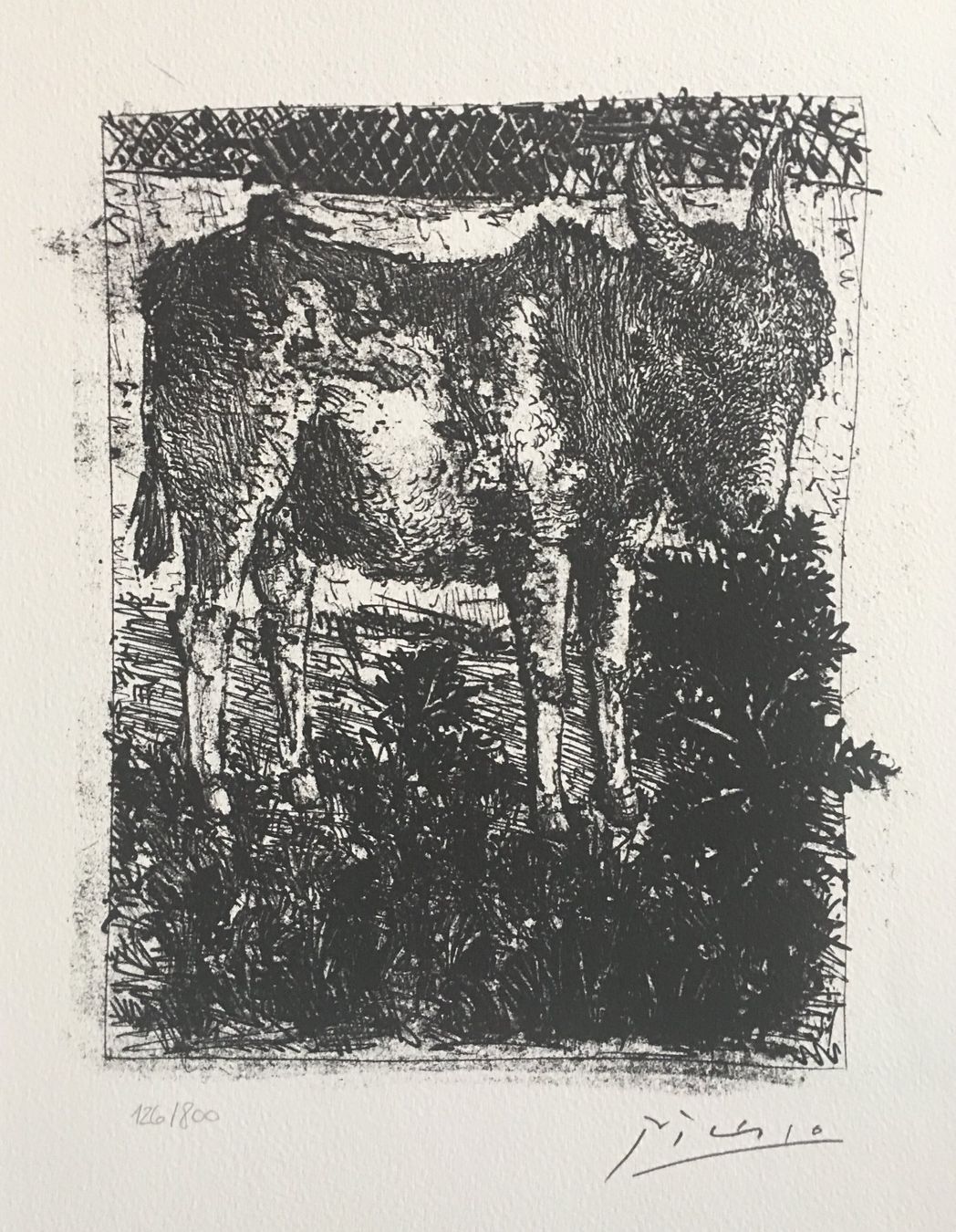 Grafica & Litografie: Pablo Picasso   Buffon Zyklus    "L' Ane"   Lithographie – Usato da Nennigkofen venduto da Sommersonnen 3