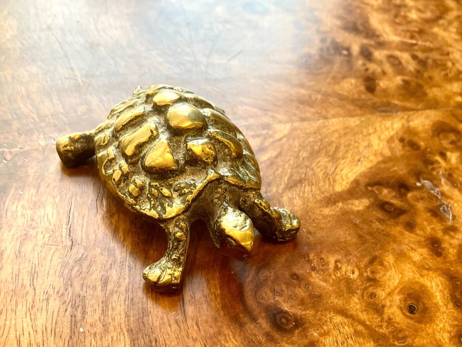 Sculture & Statue: Zwei Vintage Schildkröten aus Messing – Usato da Schaffhausen venduto da NinaRicardo 2