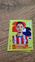 Panini WM 2026 Paraguay Damian Bobadilla