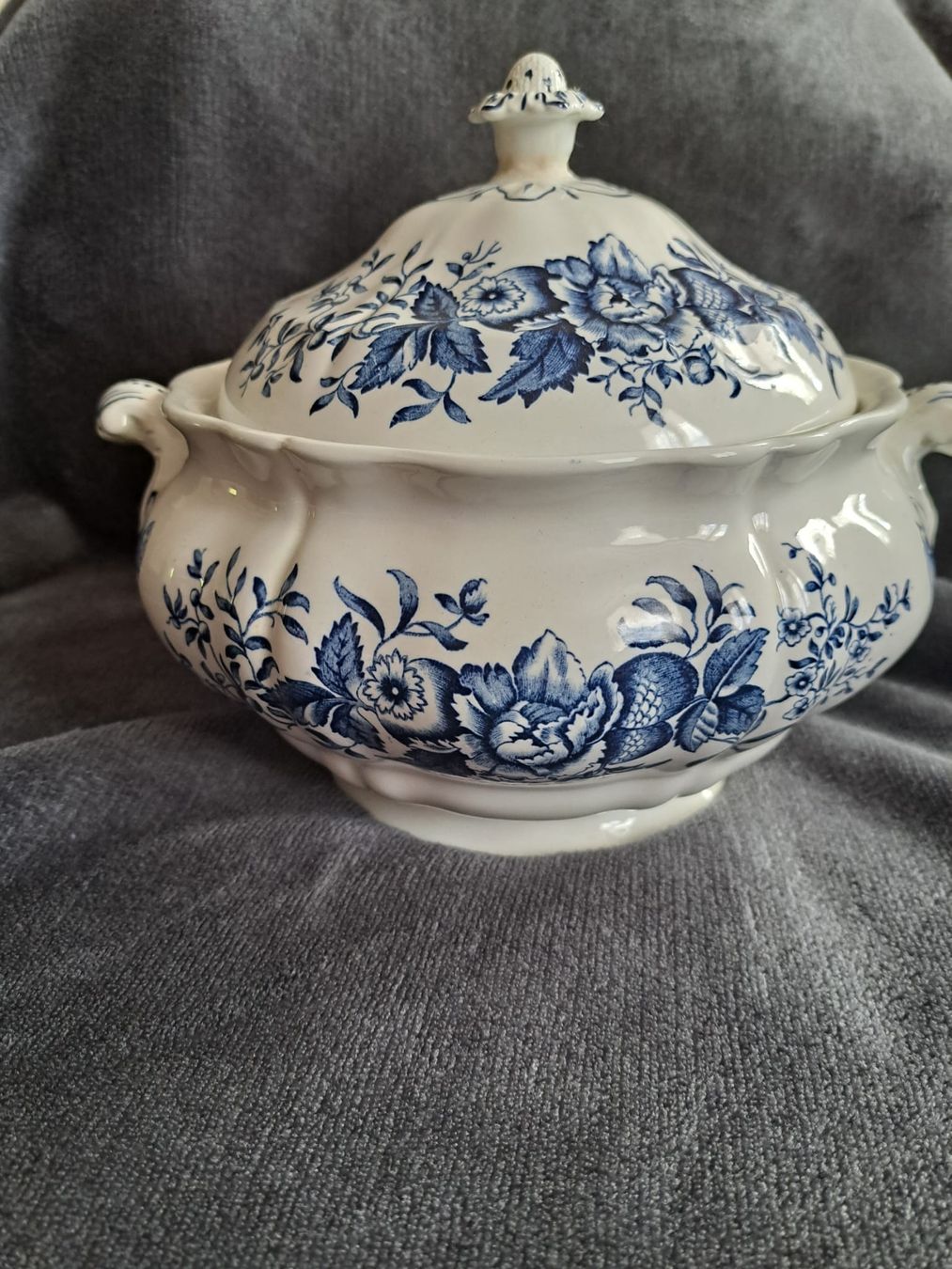 Ciotole: Suppentopf mit Deckel Booths Peony Blue  – Usato da Eschlikon TG venduto da zuzanka80 3