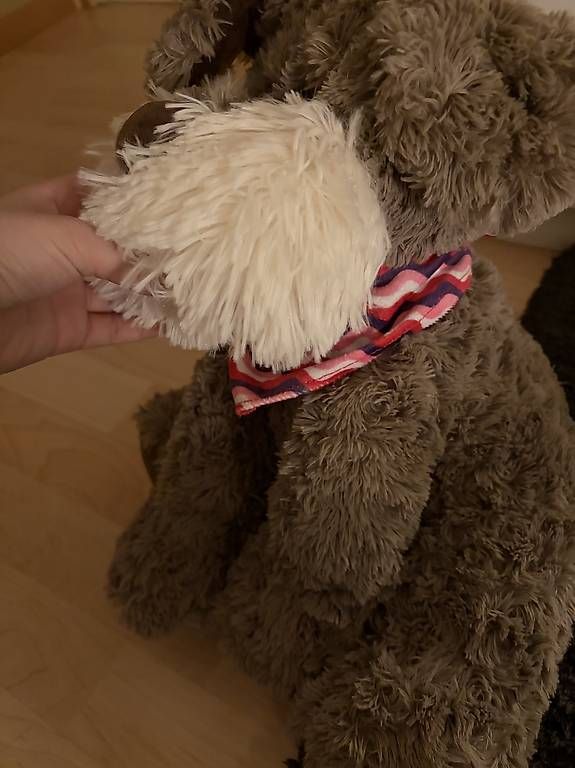 Giocattoli: Süsser Plüsch Hund – Usato da Boswil venduto da sel_f9r5 2