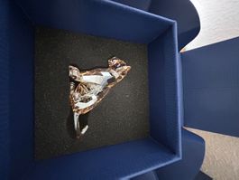 SWAROVSKI  Sammlung Auflösung  SCS LÖWE JUNGTIER
