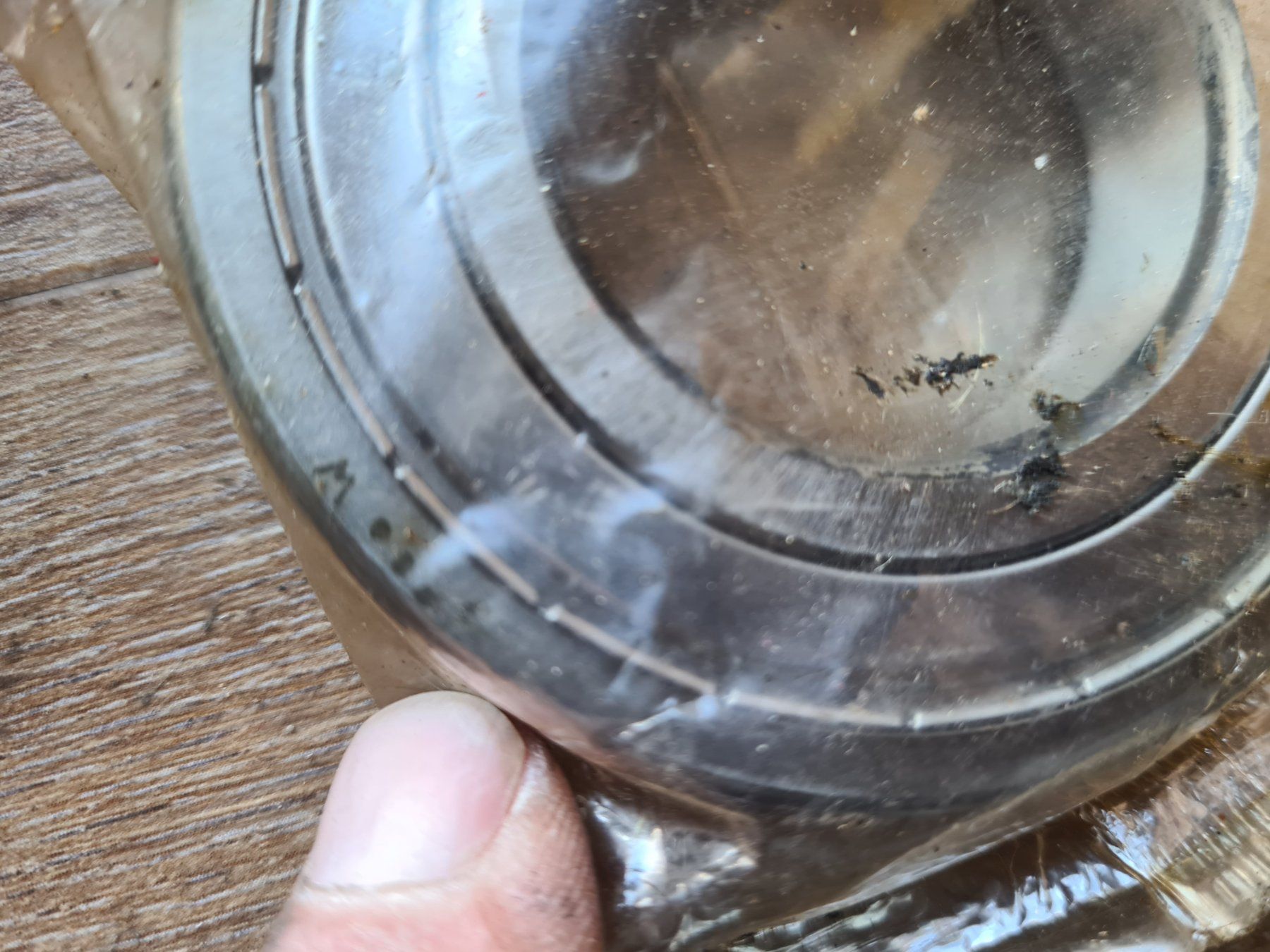 Puch Ciclomotori: Lager 6208-2Z – Nuovo e nell'imballaggio originale da frümsen venduto da Sailem 3