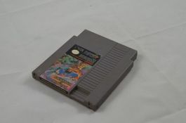 Wizards & Warriors NES Spiel