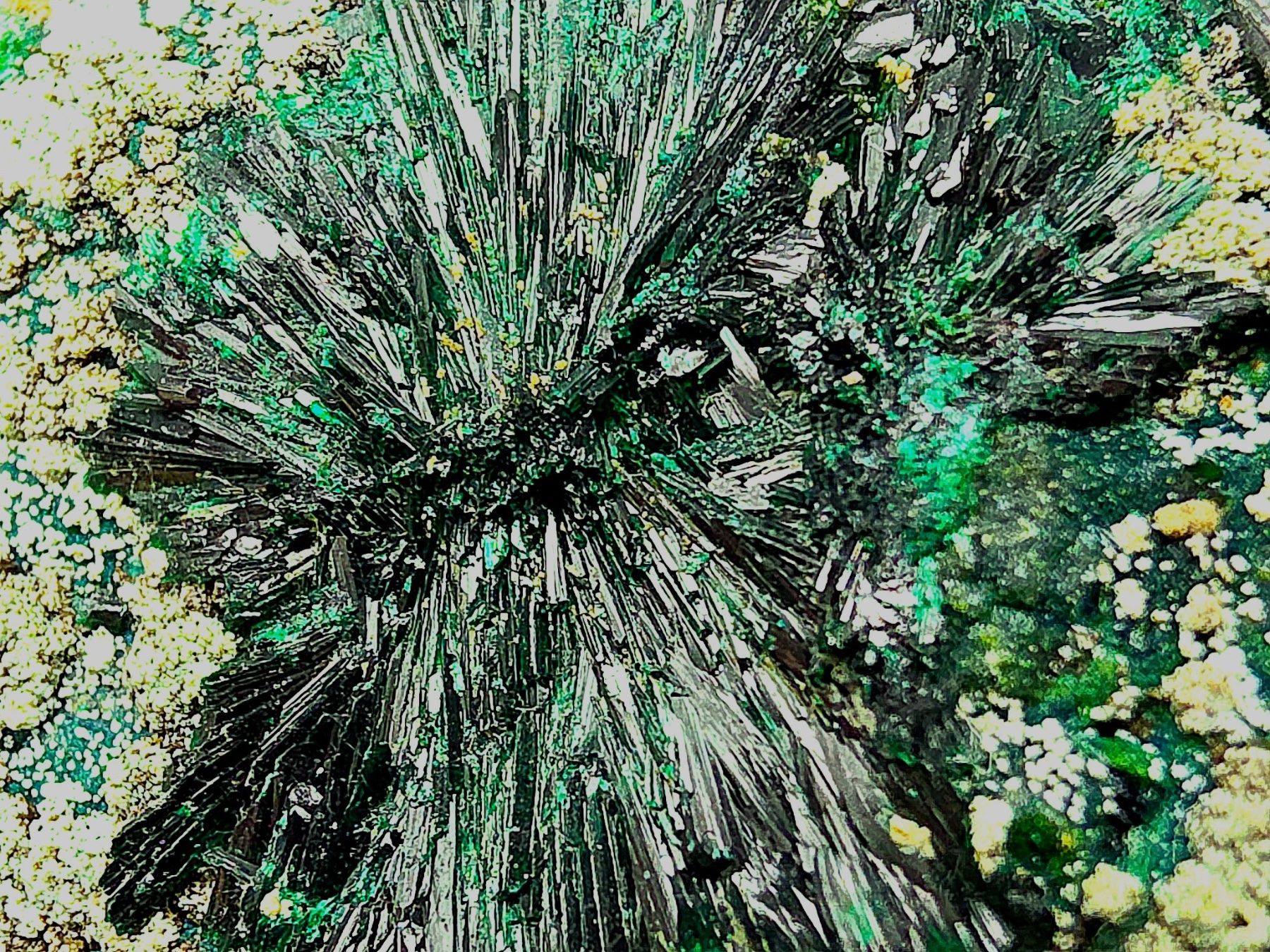 Minerali & Pietre curative: Top Atacamite Antofagasta, Chile – Usato da Figino venduto da panshop 2