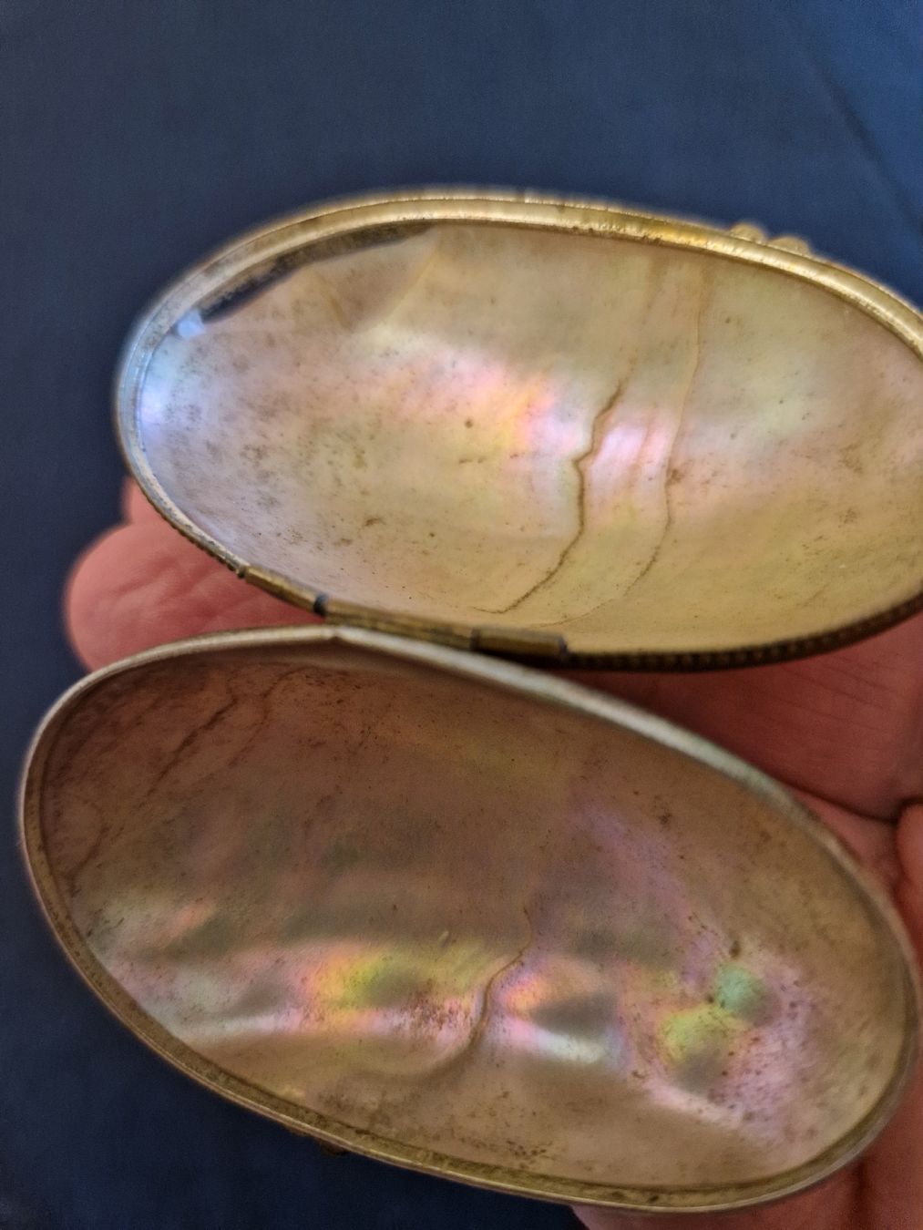 Contenitori edile: Antike Perlmutt Box oval – Usato da Fislisbach venduto da mka_km8f 4