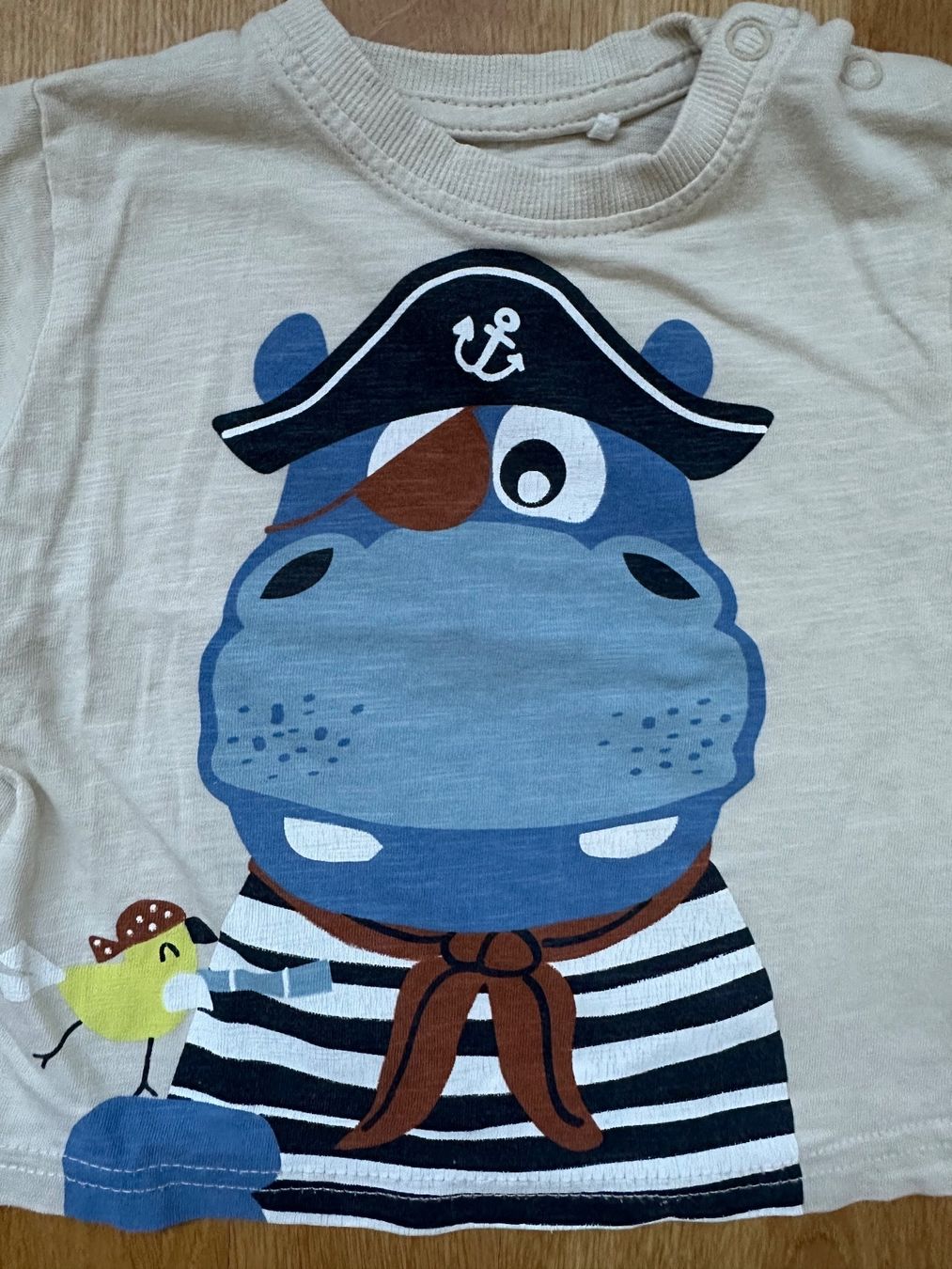 Camicie, Top & T-shirt: Kurzarm Shirt Gr. 74 – Usato da Unterägeri venduto da StefanGekko 1