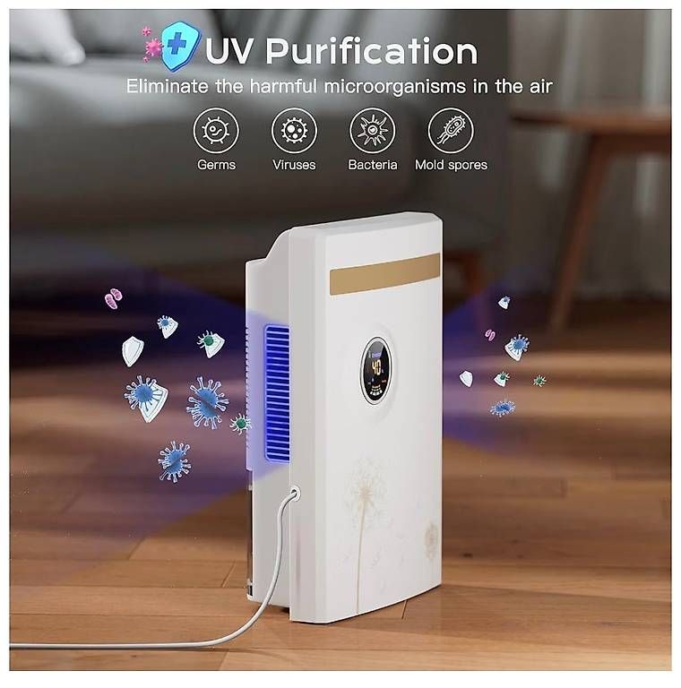 Deumidificatori: ***Luftentfeuchter Elektrisch Entfeuchter Keller Schimmel*** – Usato da Zollikofen venduto da frangipani.flow 3
