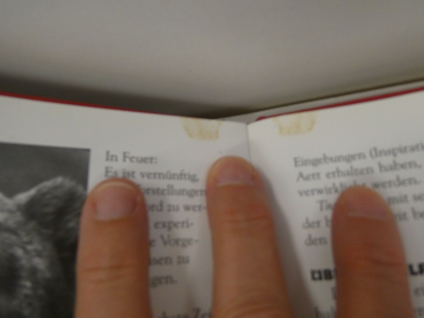 Bücher: Buch: Runen - Welten Igor Warneck – Gebraucht aus Rafz von Powacaddy 4