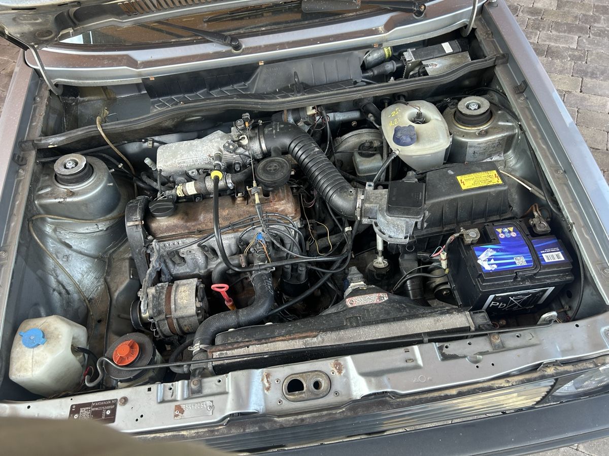 VW Automobili: Golf 1 Cabrio – Usato da Hittnau venduto da cla_8skq 6