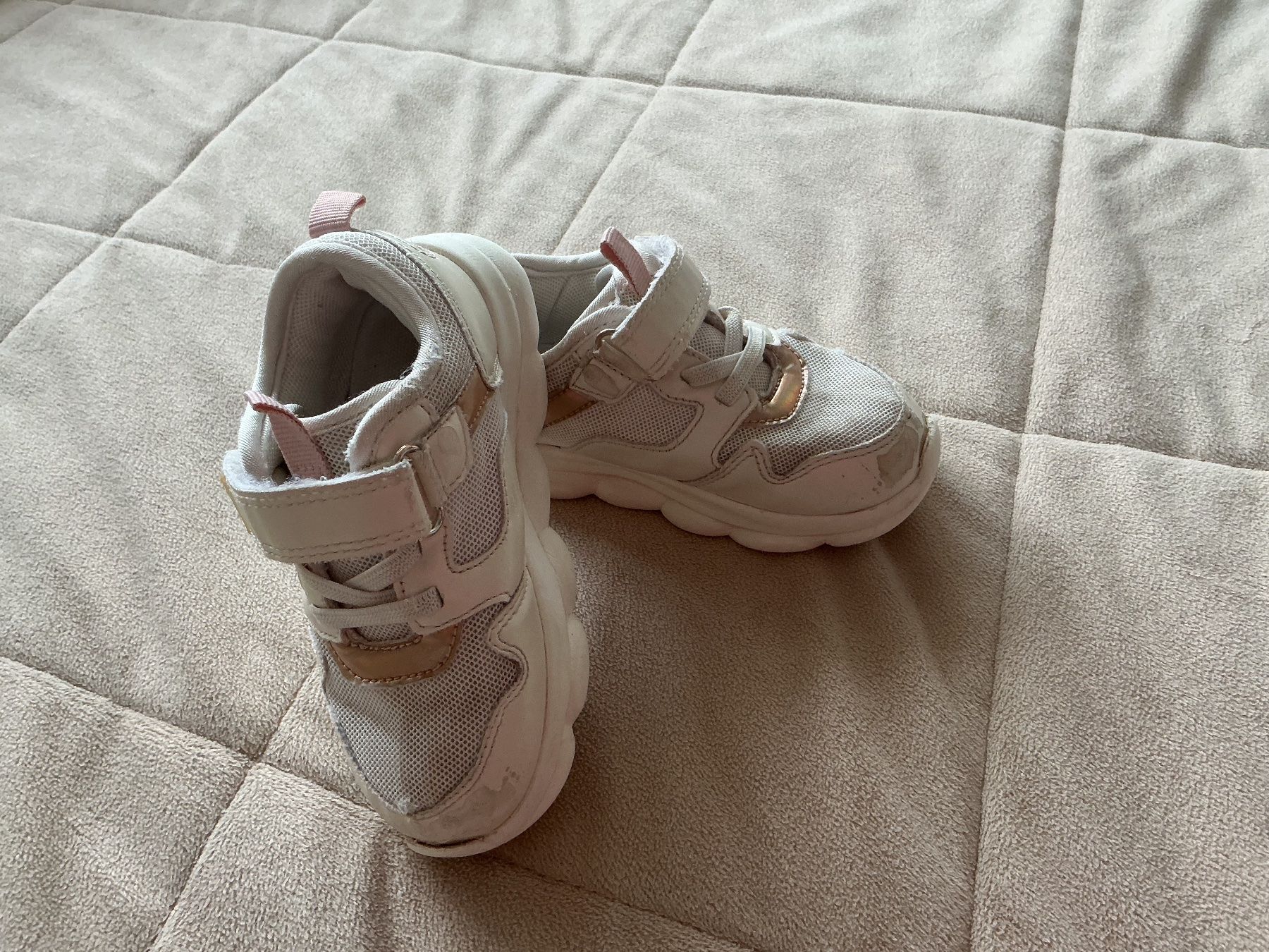 Scarpe per ragazzi: Baby Sneakers  24 – Usato da Brugg AG venduto da Magna3 4