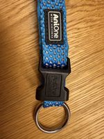 Hundehalsband Anione M