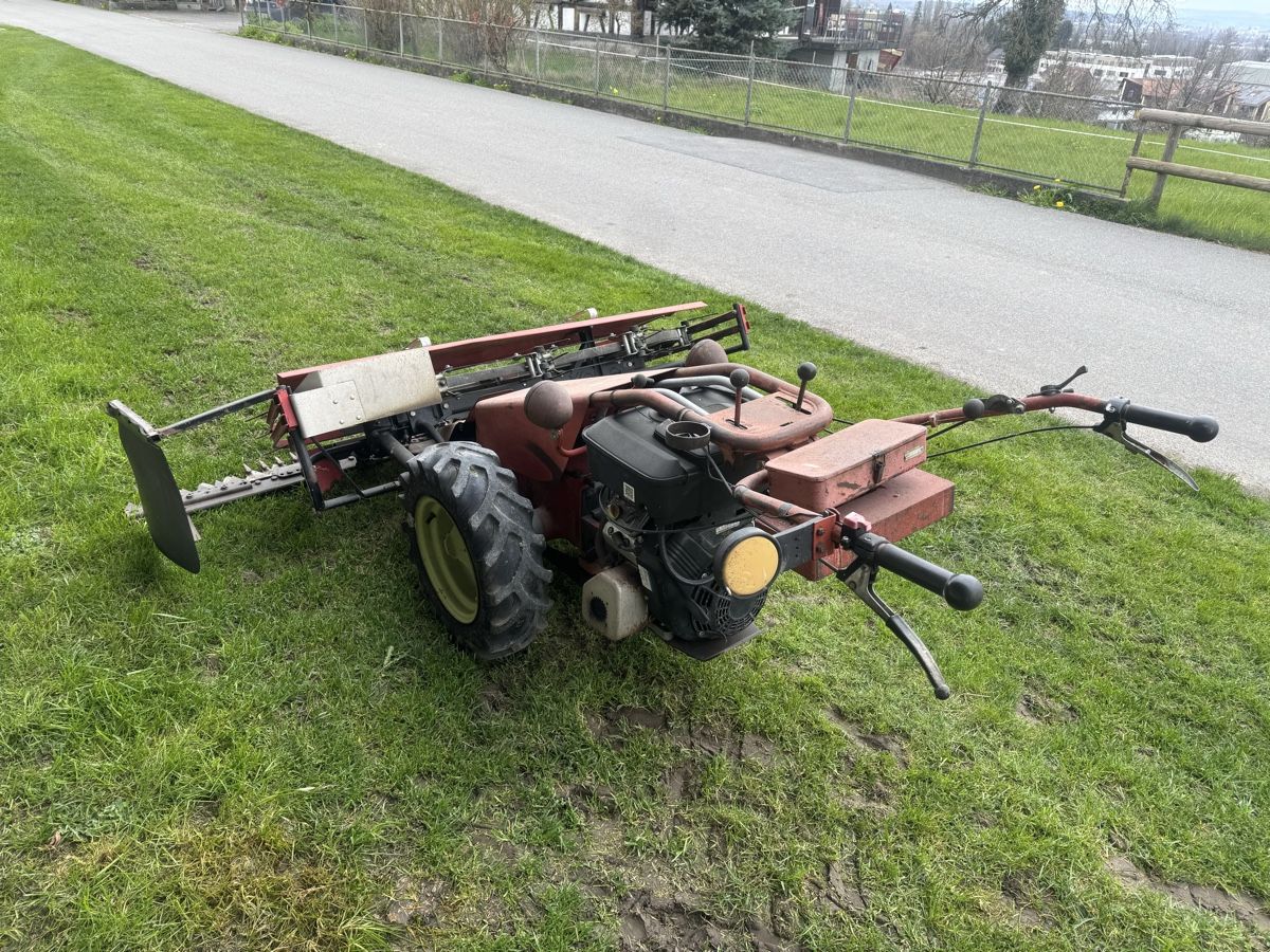 Aebi Tutte le macchine: Motormäher Aebi AM 41 mit Vanguardmotor – Usato da Winden venduto da farmalld439 3