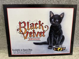 Black velvet katze