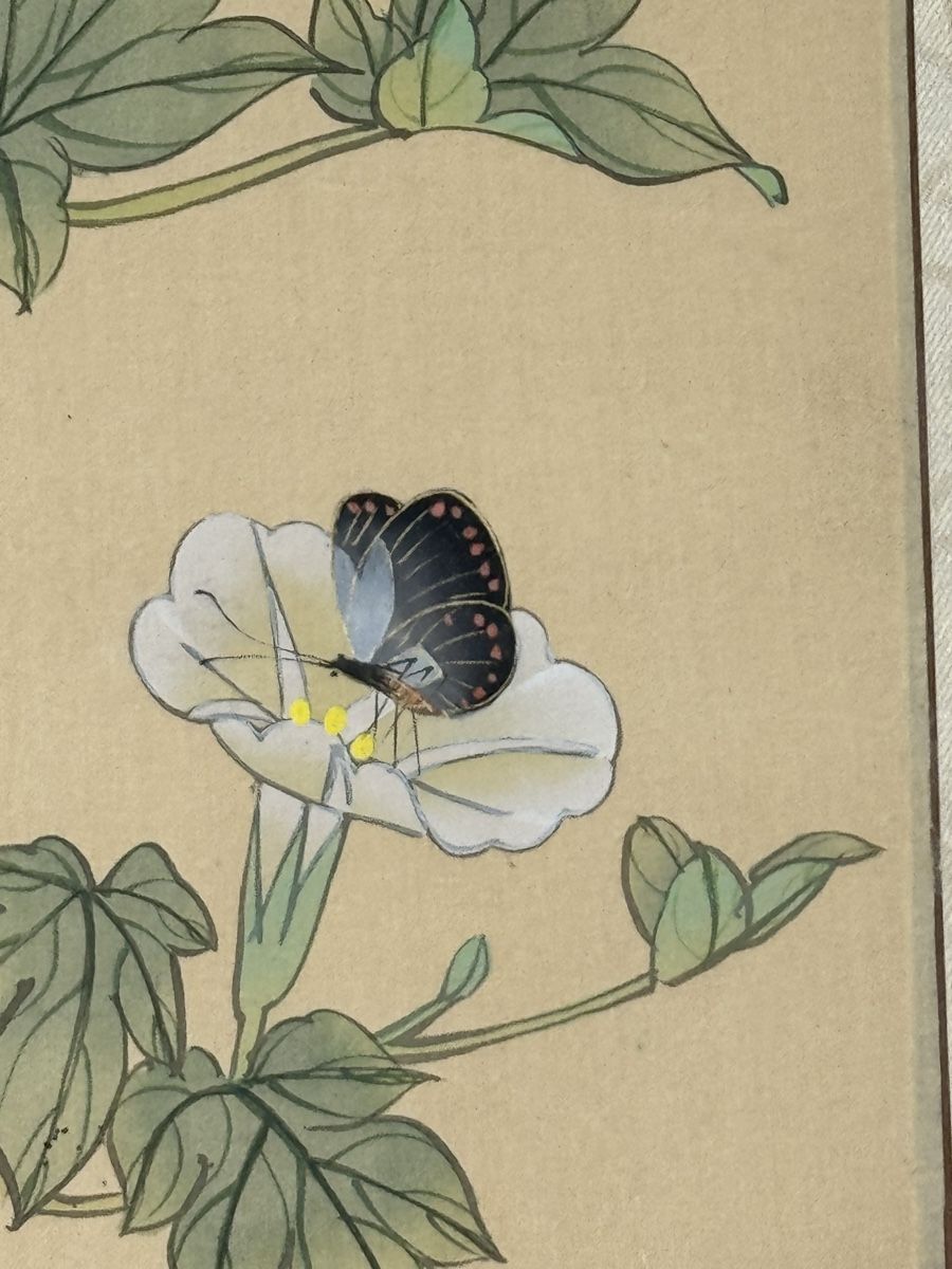 Dipinti: Chinesisches Aquarell Schmetterlinge – Usato da Grenchen venduto da swiss.antiques 4