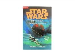 Star Wars: Das Verderben, Erbe der Jedi-Ritter 3 - Jg. 2002