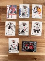 Sportzoo Series 2 + Playoffs 24/25 Lausanne HC