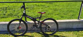 Dahon Storm Klappbike