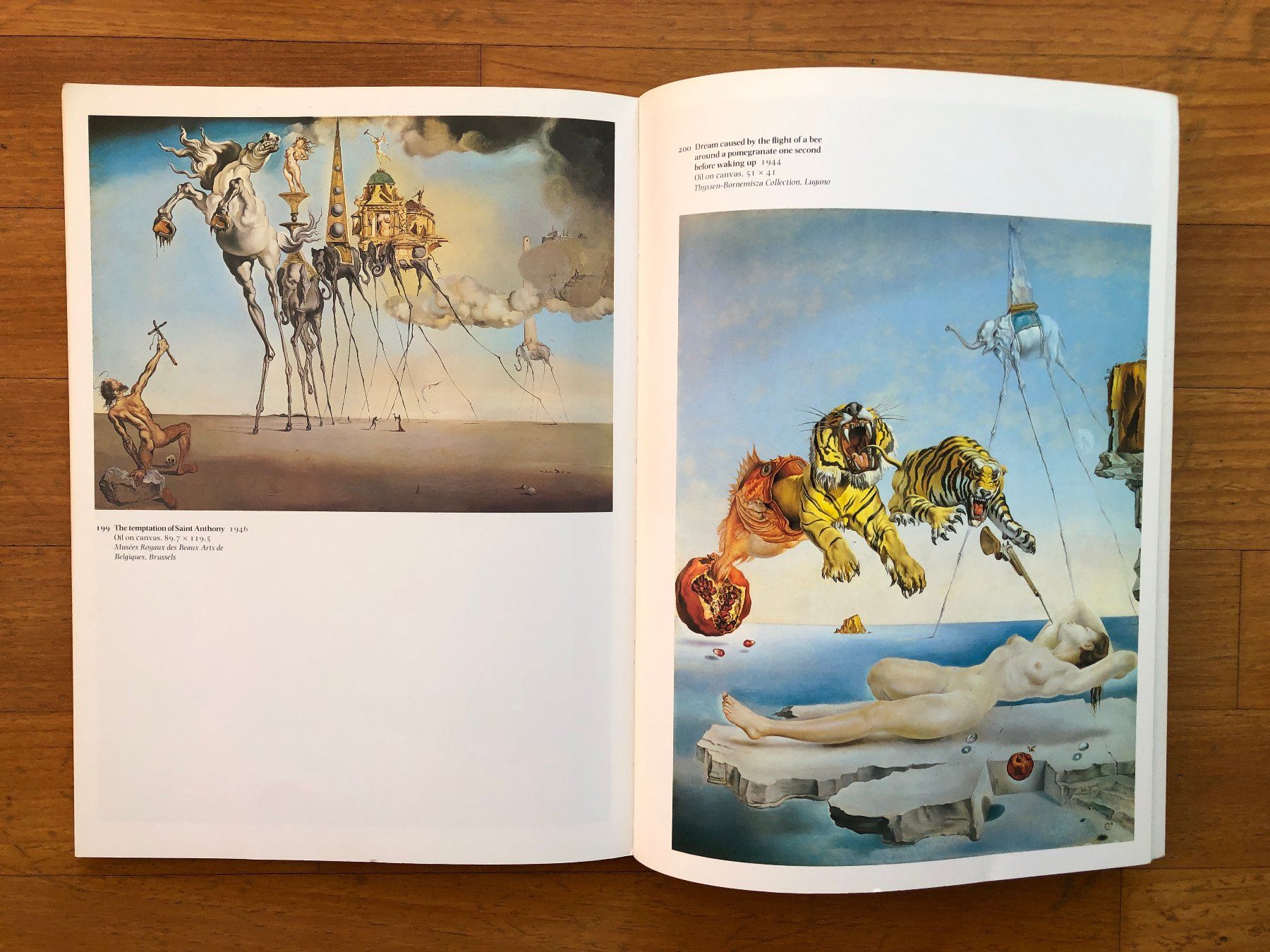 Libri: Kunst Buch: SALVADOR DALI - Tate Gallery – Usato da Lugano venduto da gio.yo 8