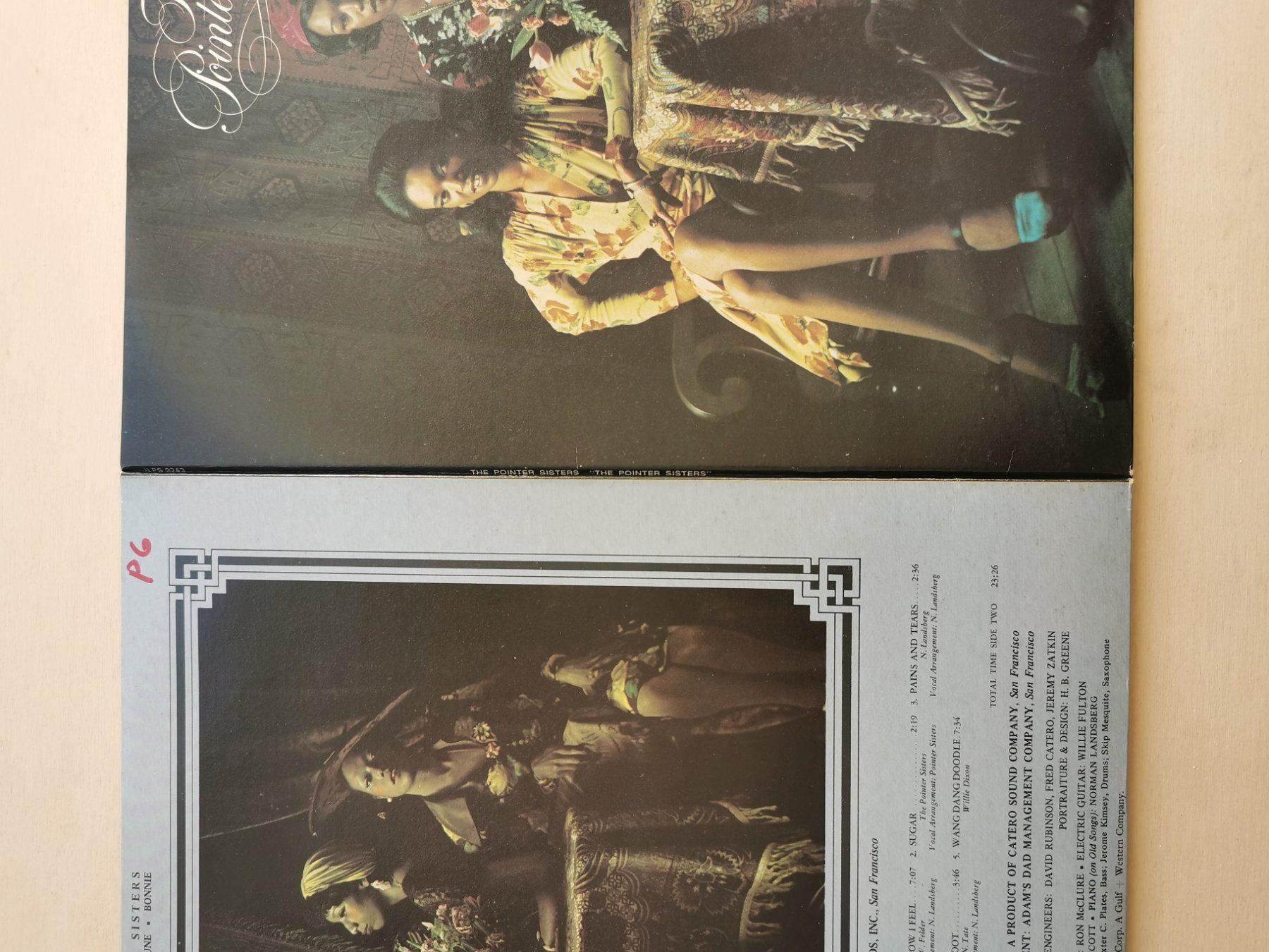 Dischi in vinile: The Pointer Sisters – The Pointer Sisters  D 73 – Usato da Ebikon venduto da kisuM 3