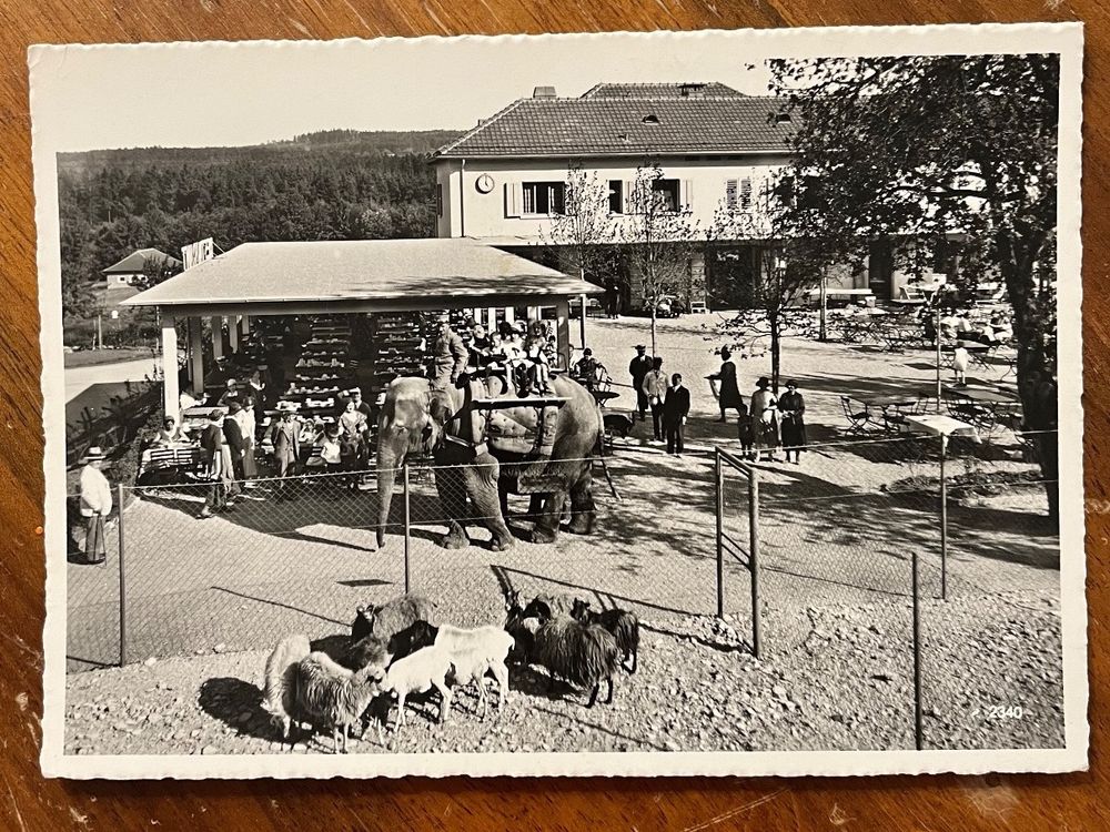 Postkarte Restaurant Zoologischer Garten Kaufen auf Ricardo