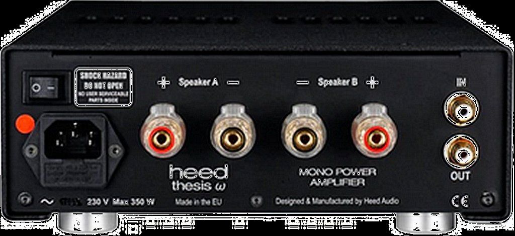 Amplificatori: HEED - THESIS Referenz Anlage 2 x 160 W – Usato da Zürich venduto da Nuesser 4