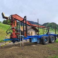 Forstanhänger Rückenwagen