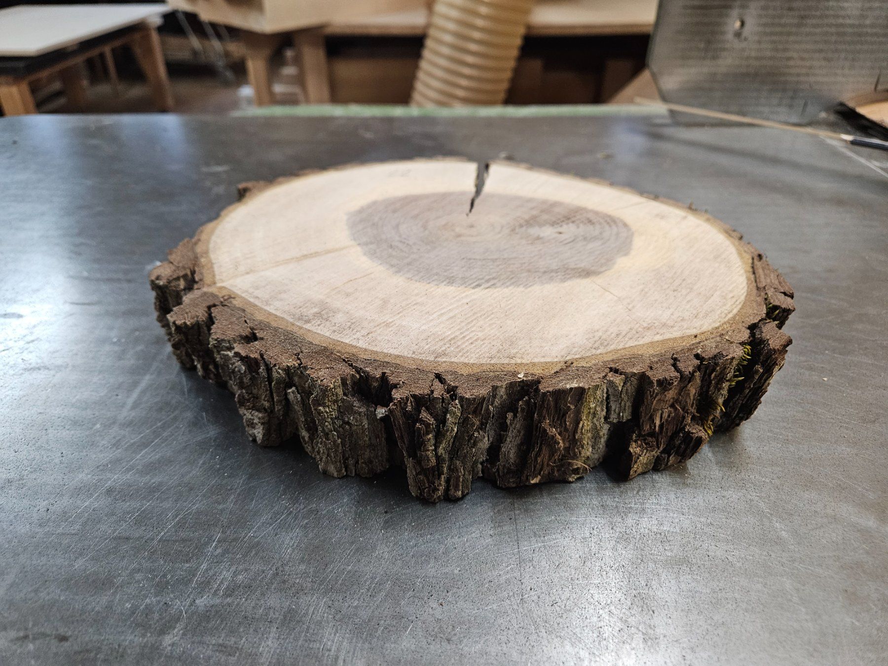Articoli in legno: Nussbaum Holz Baumscheibe – Nuovo (secondo la descrizione) da Schangnau venduto da egli6.2 1