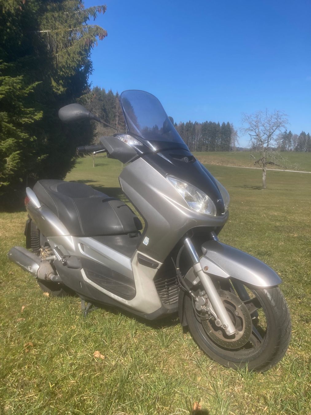 Yamaha Scooter: Yamaha 250 yp – Usato da St. Gallen venduto da zx10r 4