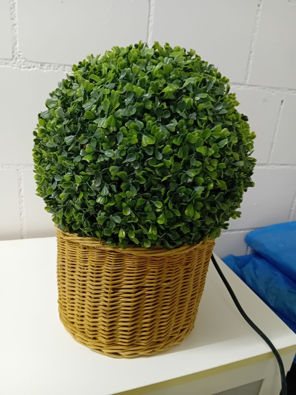 Pfister Tutte le decorazioni: Garten Kugel Buchsbaum mit Beleuchtungoder ohne., neuwertig! – Nuovo (secondo la descrizione) da Villmergen venduto da elk_h6yr 1