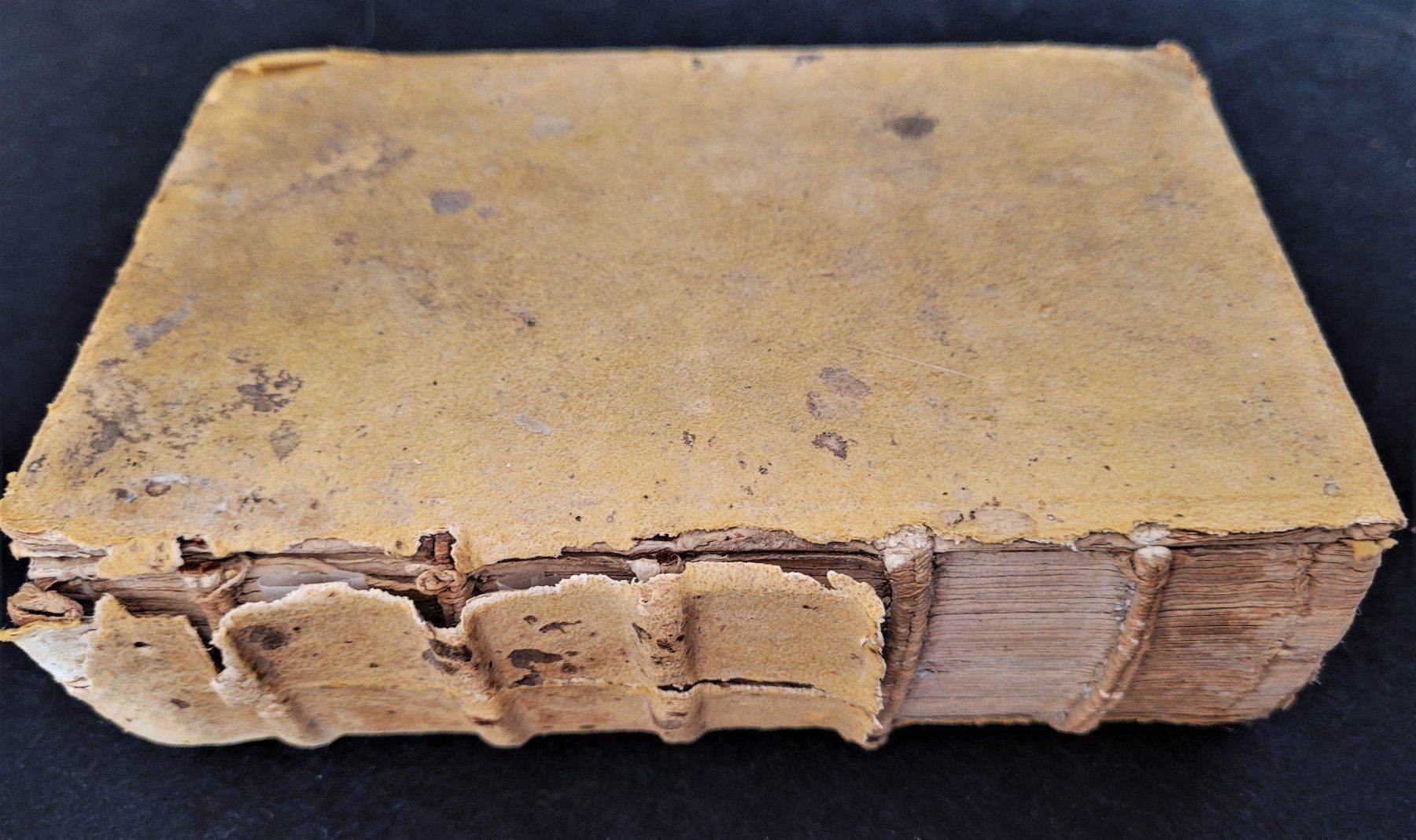 Bücher: Opus lilium medicinae, Lyon 1550 – Gebraucht aus Bourguillon von Lucas111 1