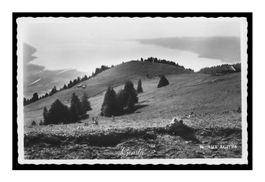 AUX AGITÉS - 1950 "Vue sur le Lac"