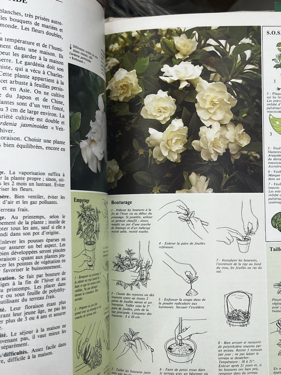 Bücher: Comment soigner vos plantes d interieur – Gebraucht aus Wettingen von NickInc 4