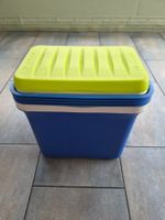 Kühlbox GIOSTYLE blau-weiss-grün