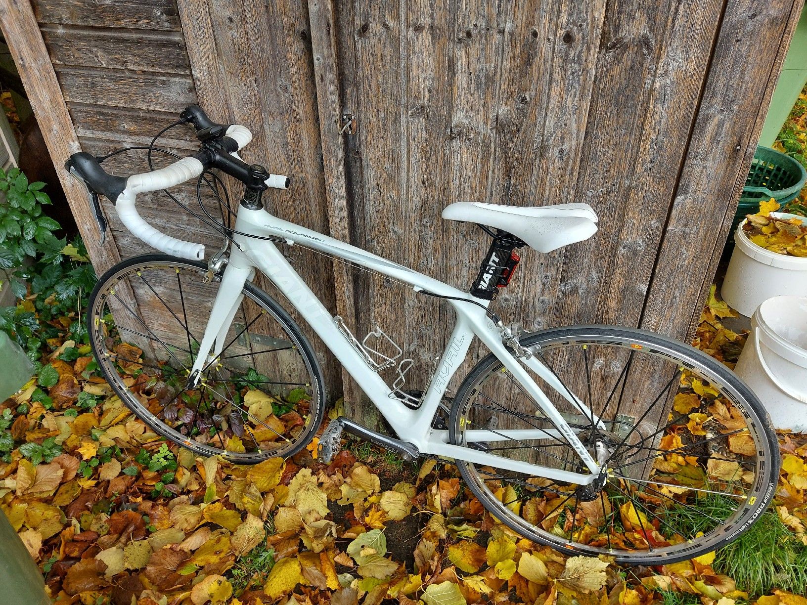 Giant Biciclette: Rennvelo Damen Giant – Usato da Wengi b. Büren venduto da deb_mqy9 1