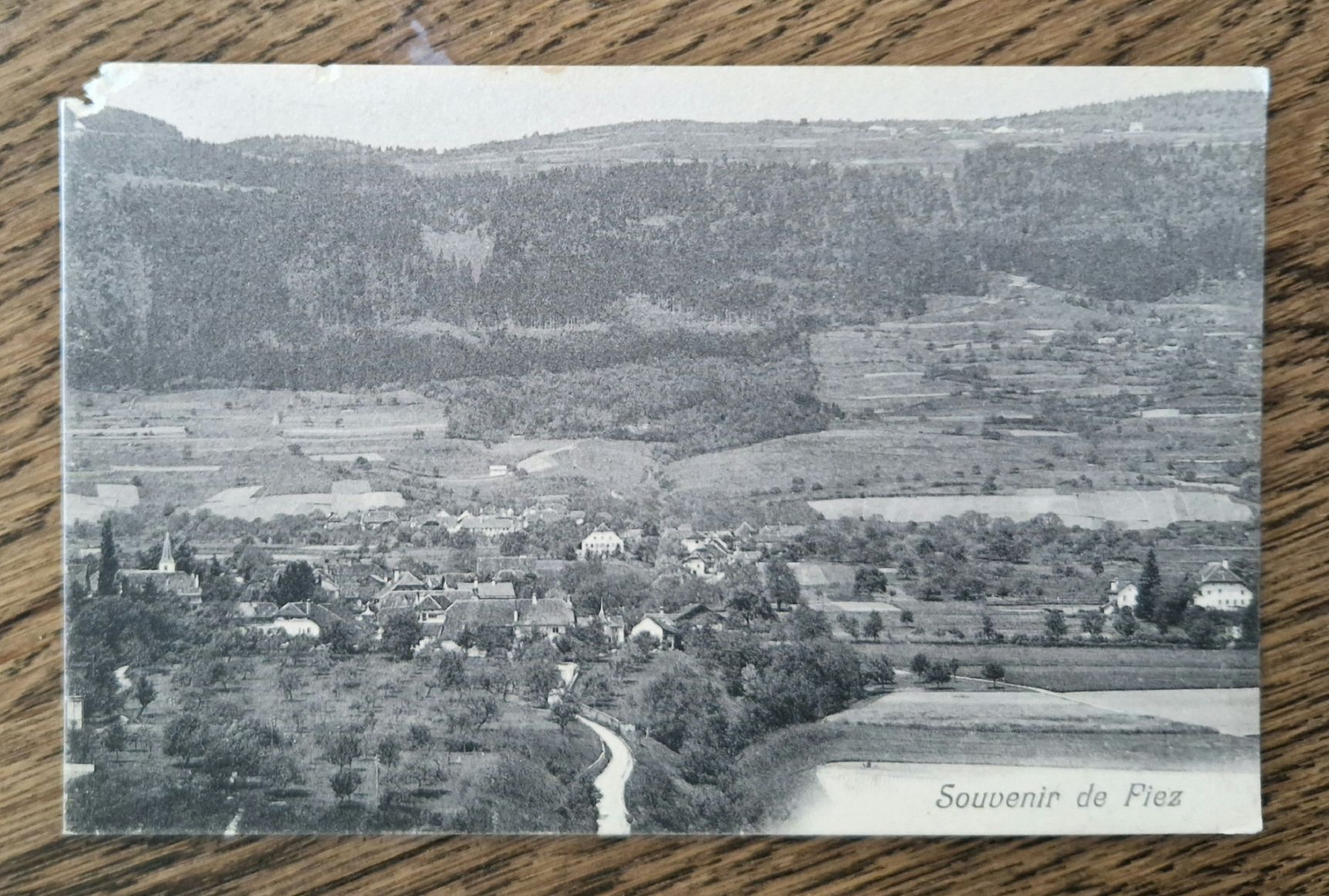 Ansichtskarten: Souvenir de Piez – Gebraucht aus Ebikon von Donar50