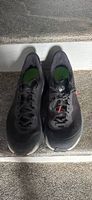 Scarpe da trailrunning Uomo 