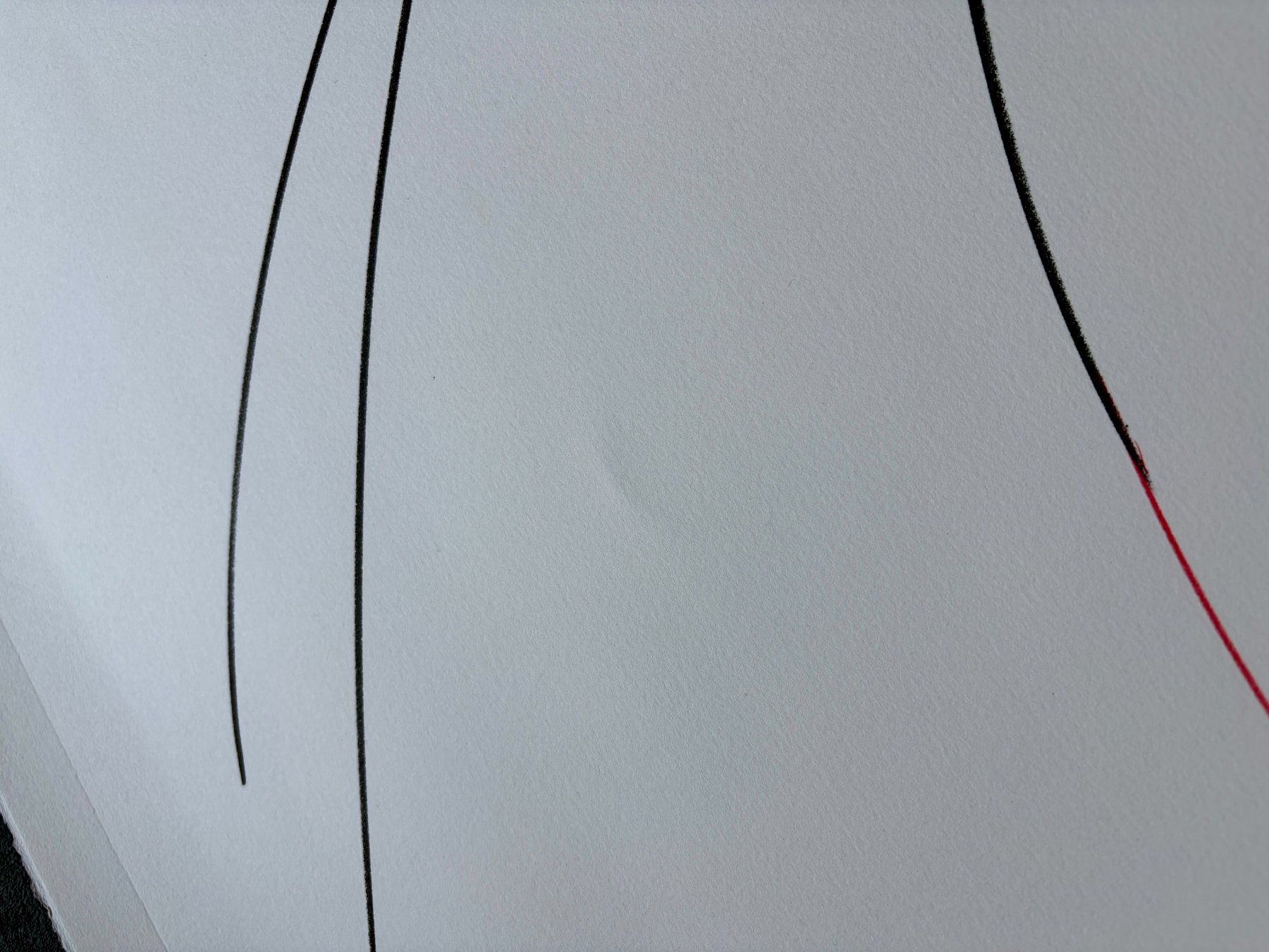 Grafiken & Lithographien: Harald Naegeli, grosse Lithographie – Gebraucht aus Regensdorf von JoergR 6