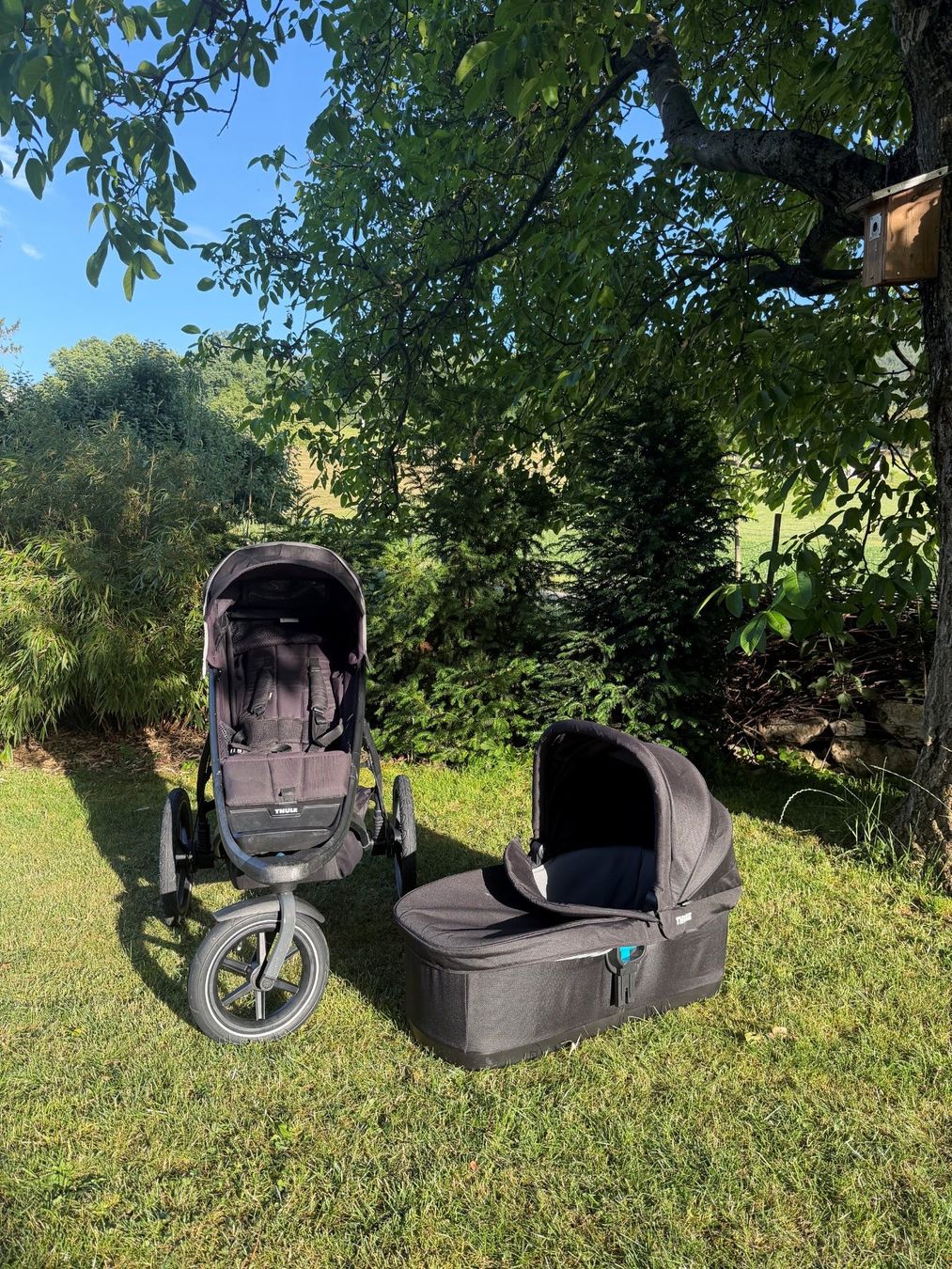 Thule Carrozzine: Thule Urban Glide – Usato da Laupersdorf venduto da andrea-christ 1
