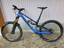 Canyon Torque 9, Carbonrahmen 2021