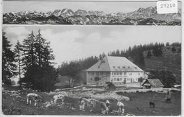 Hotel de la Vue des Alpes - Cernier