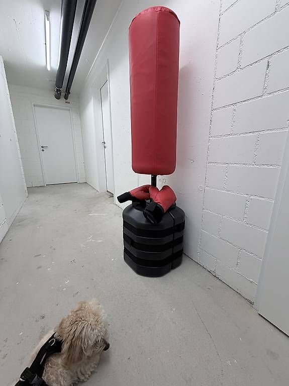 Sacchi da boxe: Boxsack mit Boxhandschuhen für Kinder – Usato da Zumikon venduto da Marin1986